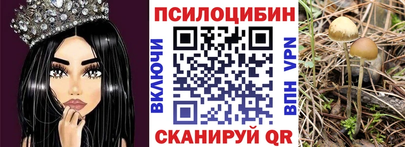Псилоцибиновые грибы MAGIC MUSHROOMS  купить   Обоянь 